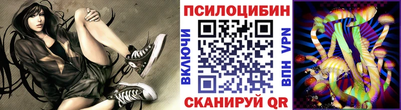 Псилоцибиновые грибы ЛСД Светогорск